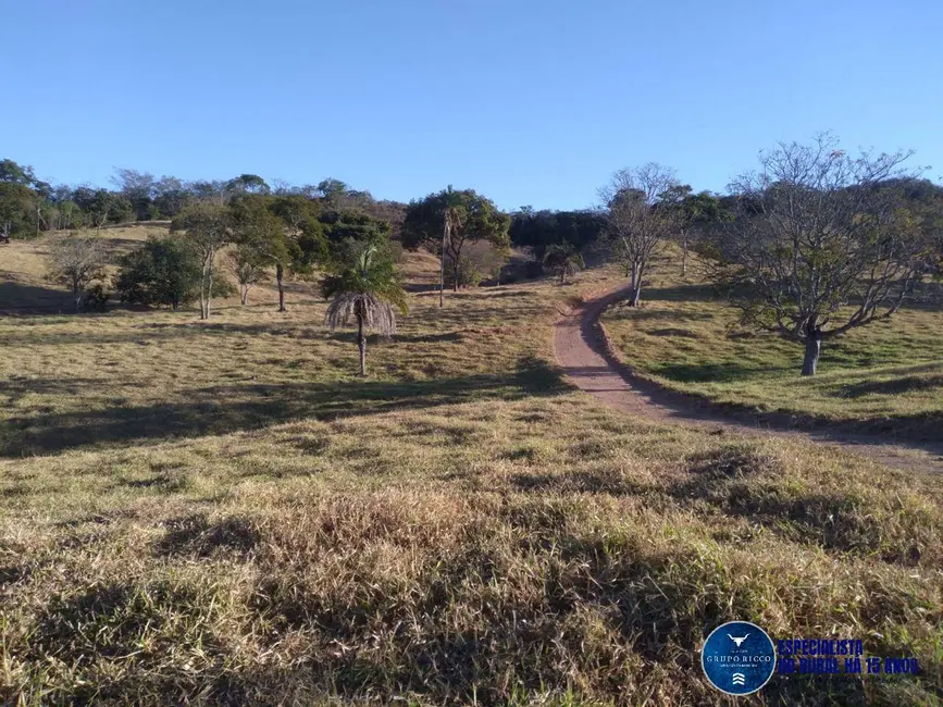 Foto 5 de Fazenda / Haras à venda, 27m2 em Crominia - GO