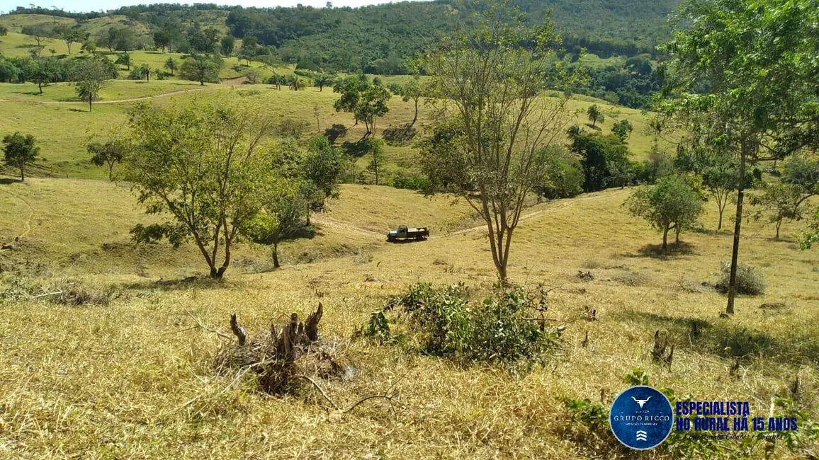 Foto 8 de Fazenda / Haras à venda, 27m2 em Crominia - GO