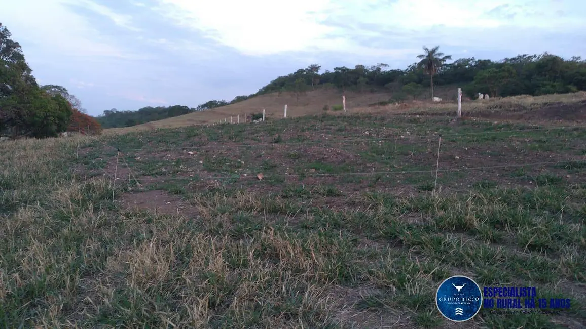 Foto 9 de Fazenda / Haras à venda, 27m2 em Crominia - GO