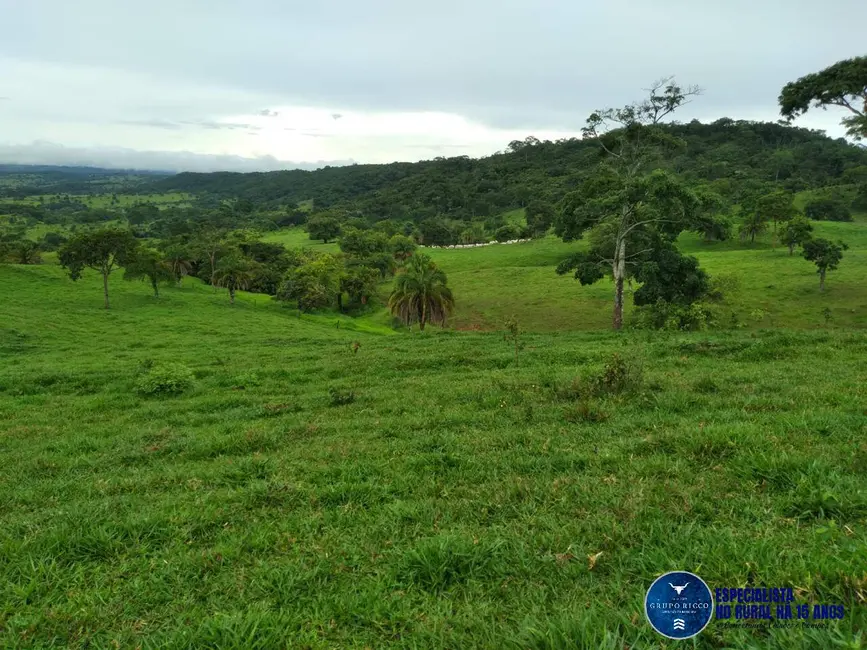 Foto 7 de Fazenda / Haras à venda, 27m2 em Crominia - GO