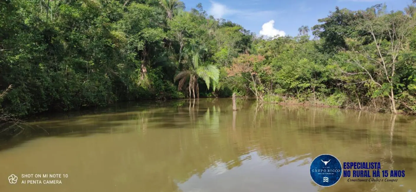Foto 7 de Fazenda / Haras à venda, 220m2 em Padre Bernardo - GO