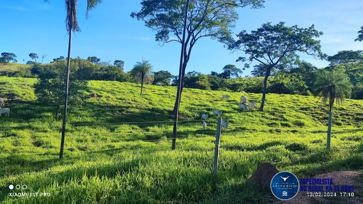 Foto 2 de Fazenda / Haras à venda, 220m2 em Padre Bernardo - GO