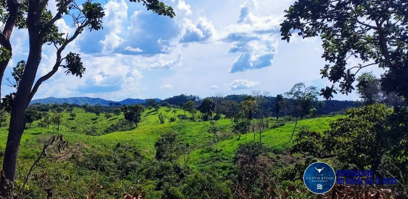Foto 8 de Fazenda / Haras à venda, 220m2 em Padre Bernardo - GO