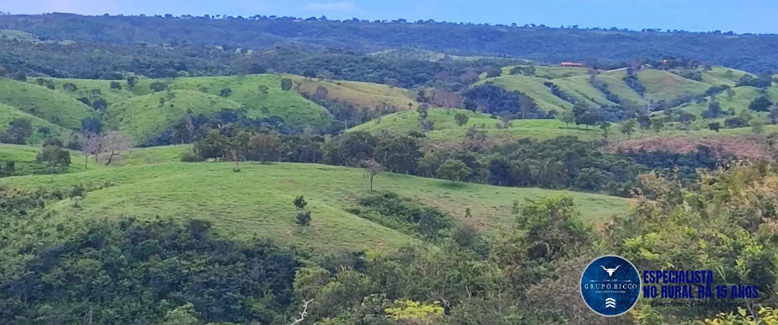 Foto 3 de Fazenda / Haras à venda, 220m2 em Padre Bernardo - GO