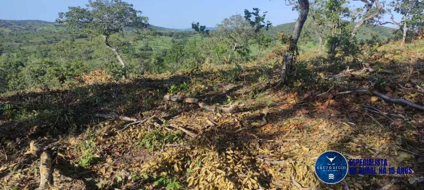 Foto 2 de Fazenda / Haras à venda, 106m2 em Uruacu - GO