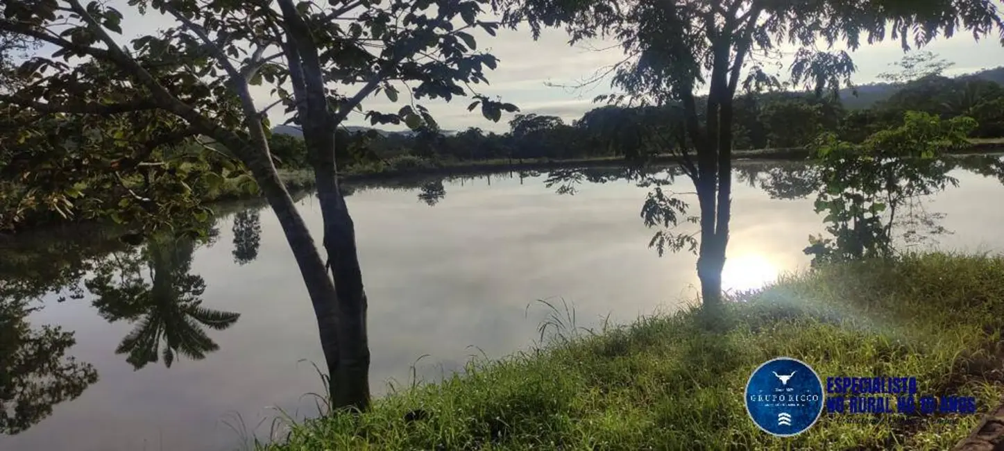 Foto 3 de Fazenda / Haras à venda, 106m2 em Uruacu - GO