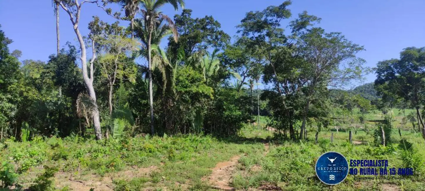 Foto 1 de Fazenda / Haras à venda, 106m2 em Uruacu - GO