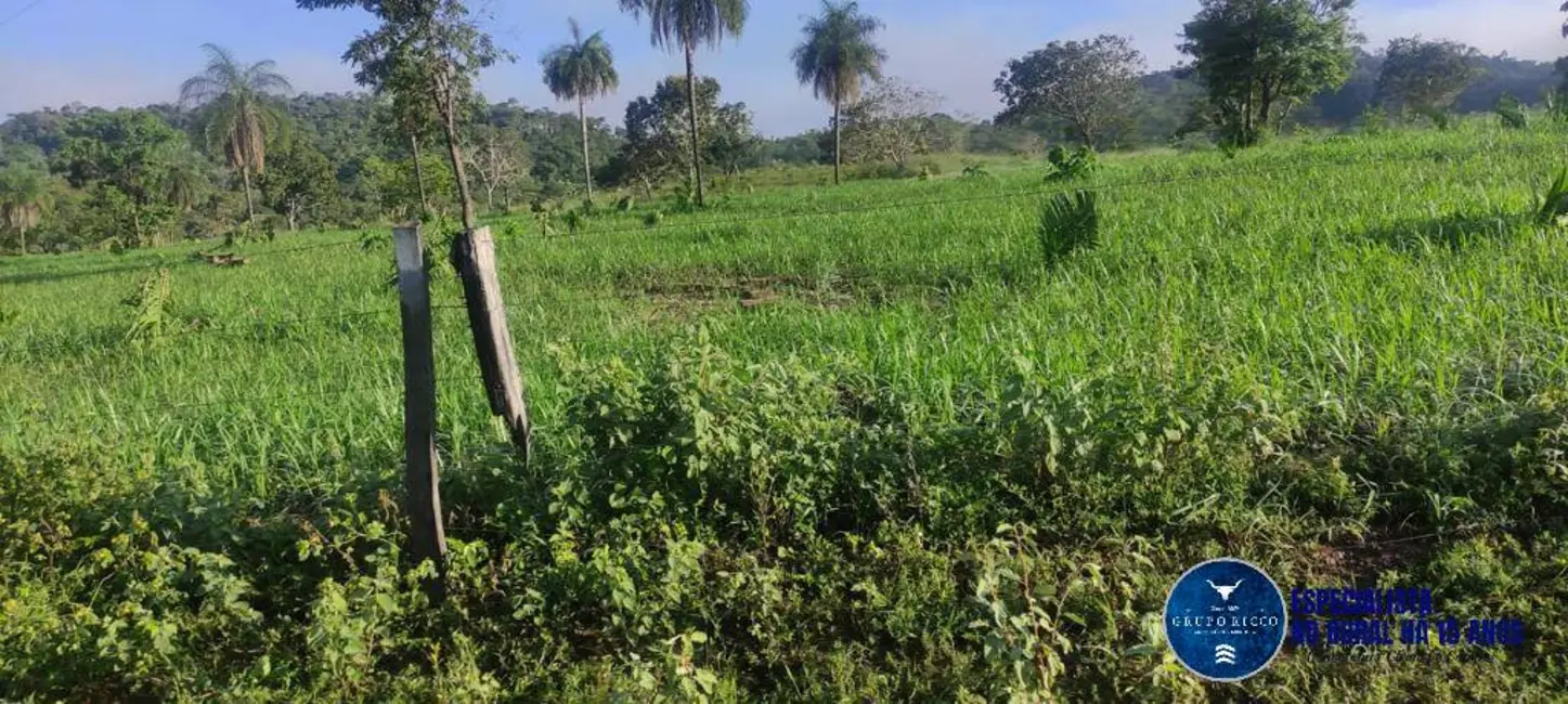 Foto 8 de Fazenda / Haras à venda, 106m2 em Uruacu - GO