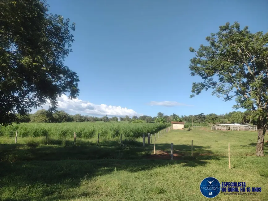 Foto 1 de Fazenda / Haras à venda, 34m2 em Montes Claros De Goias - GO