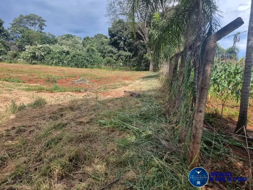 Foto 3 de Chácara à venda, 4000m2 em Goianira - GO