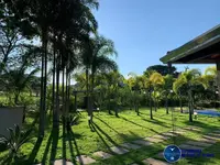 Imagem 13