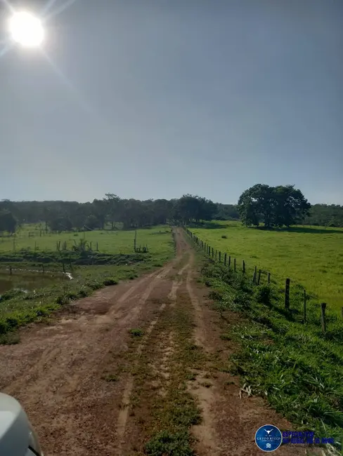 Foto 6 de Chácara à venda em Santa Cruz De Goias - GO