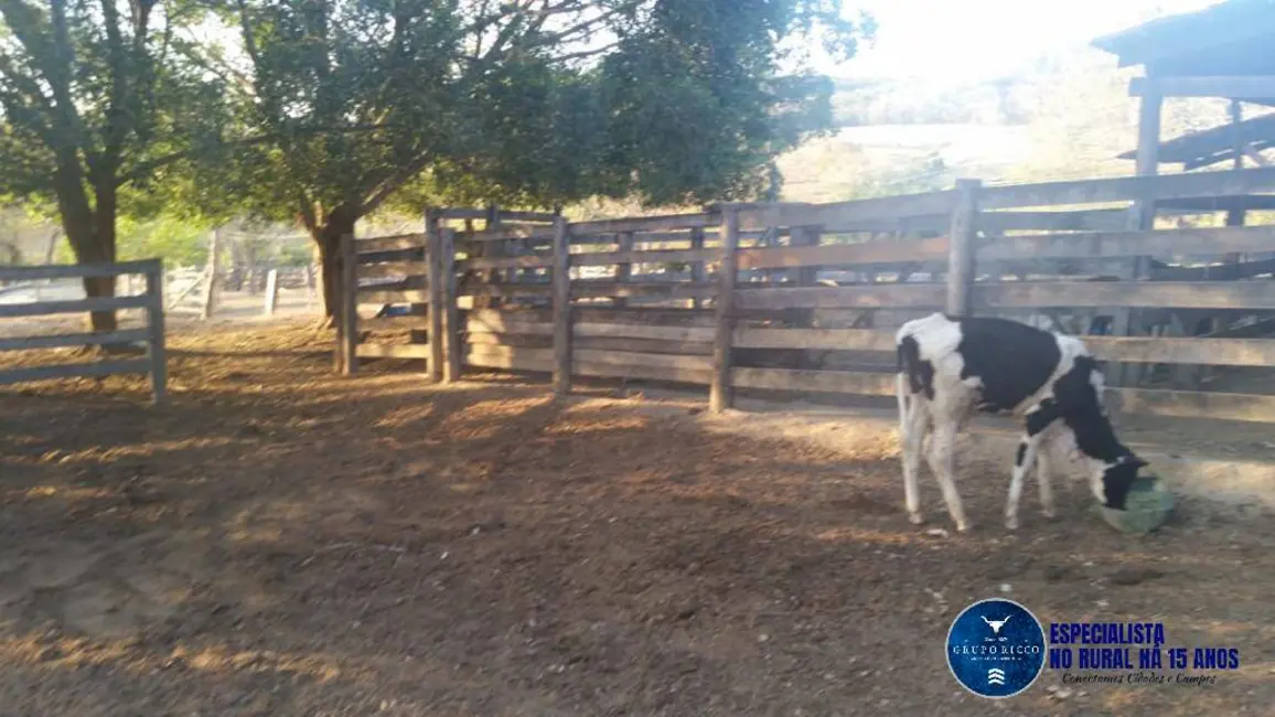 Foto 2 de Chácara à venda em Santa Cruz De Goias - GO