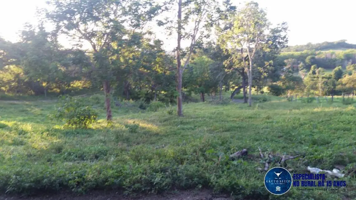 Foto 5 de Chácara à venda em Santa Cruz De Goias - GO