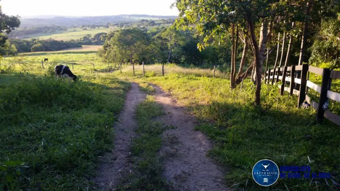 Foto 8 de Chácara à venda em Santa Cruz De Goias - GO
