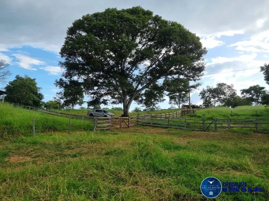Foto 2 de Fazenda / Haras à venda, 45m2 em Varjao - GO