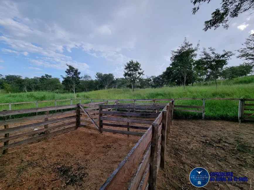 Foto 1 de Fazenda / Haras à venda, 45m2 em Varjao - GO