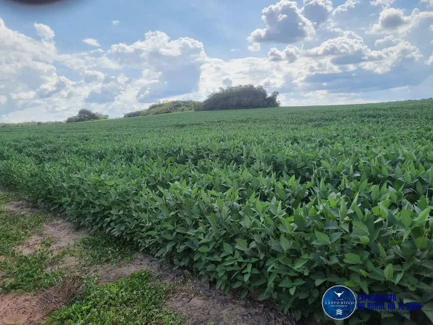 Foto 7 de Fazenda / Haras à venda, 1756m2 em Santa Maria Do Tocantins - TO