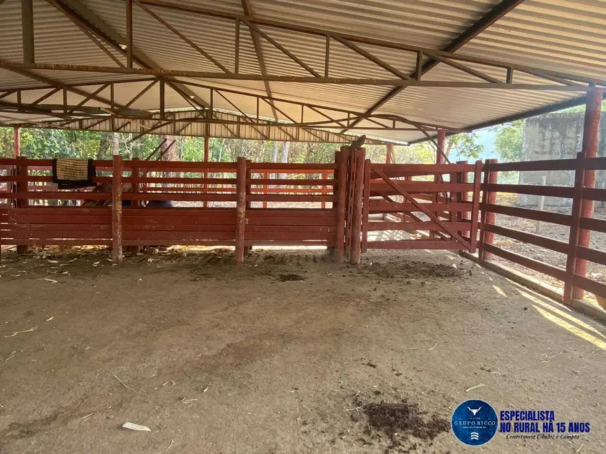 Foto 2 de Chácara com 4 quartos à venda em Taquaral De Goias - GO