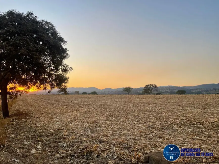 Foto 1 de Fazenda / Haras à venda, 29m2 em Itaberai - GO