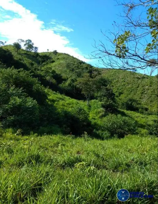 Foto 7 de Chácara com 4 quartos à venda em Itapuranga - GO