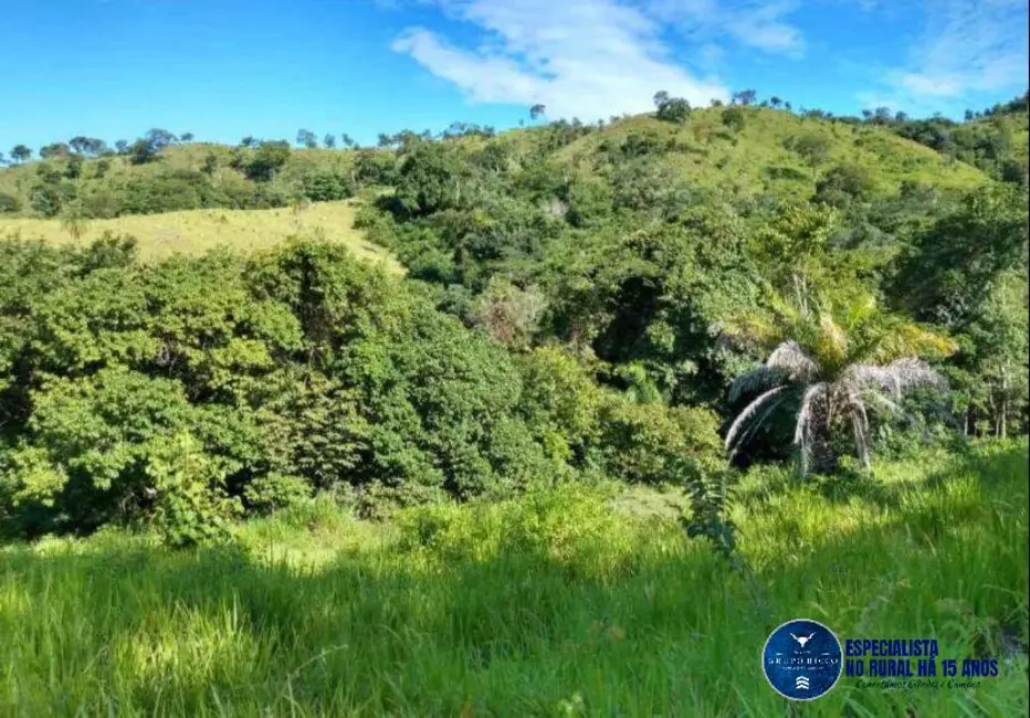 Foto 2 de Sítio / Rancho à venda, 28m2 em Itapuranga - GO