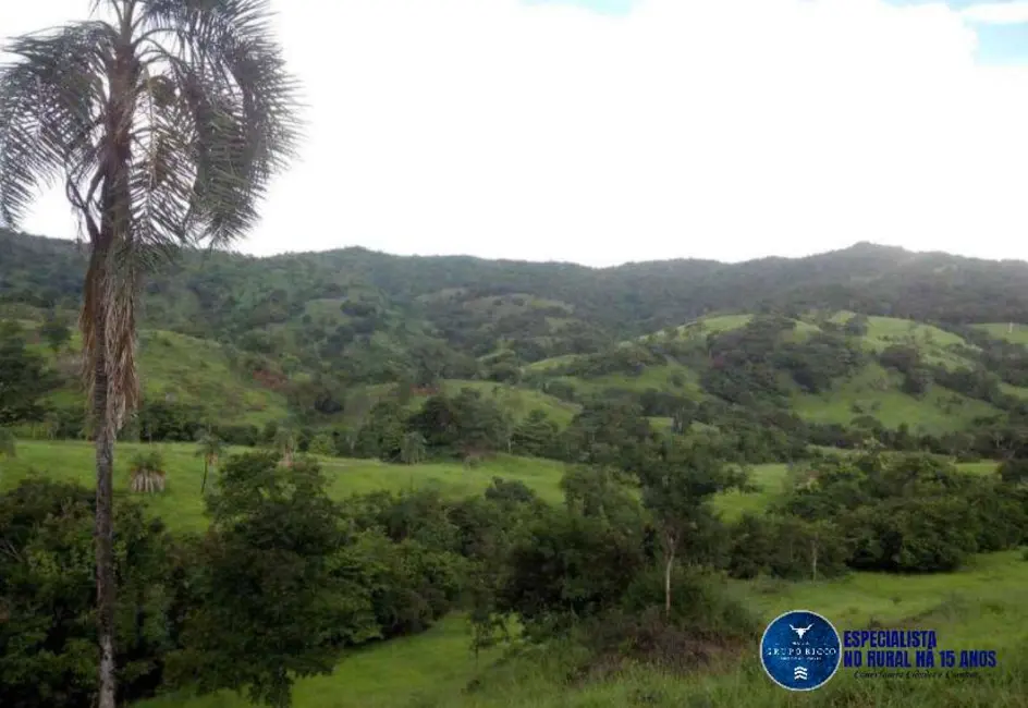 Foto 4 de Chácara com 4 quartos à venda em Itapuranga - GO