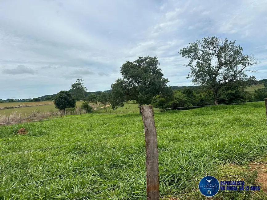 Foto 20 de Chácara à venda em Trindade - GO