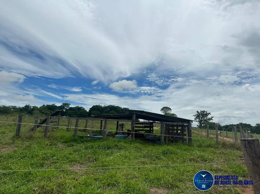 Foto 11 de Chácara à venda em Trindade - GO