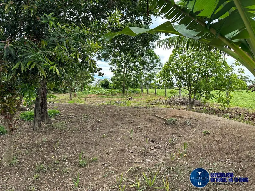 Foto 21 de Chácara à venda em Trindade - GO