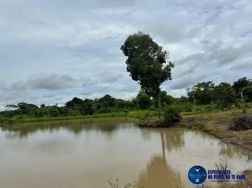 Foto 8 de Chácara à venda em Trindade - GO
