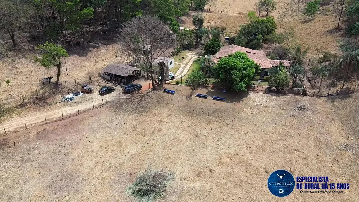 Foto 6 de Chácara à venda, 24000m2 em Bela Vista De Goias - GO
