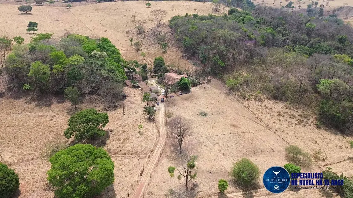 Foto 4 de Chácara à venda, 24000m2 em Bela Vista De Goias - GO