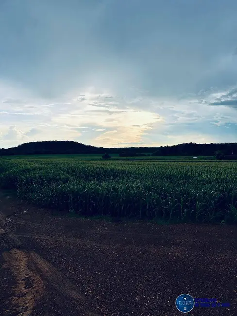 Foto 8 de Fazenda / Haras à venda, 822m2 em Araguaina - TO