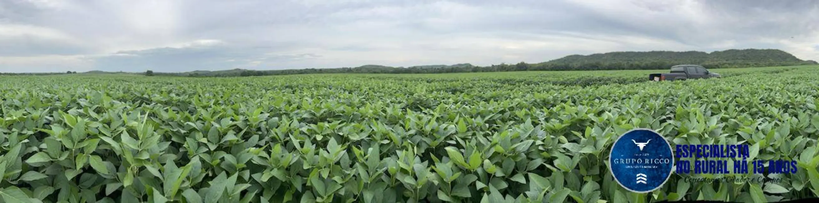 Foto 5 de Fazenda / Haras à venda, 822m2 em Araguaina - TO