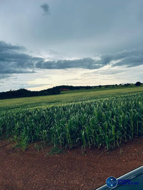 Foto 1 de Fazenda / Haras à venda, 822m2 em Araguaina - TO