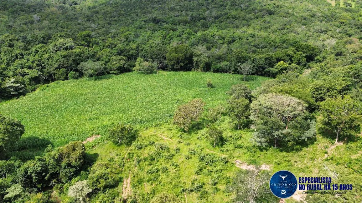 Foto 2 de Sítio / Rancho à venda, 21m2 em Caldas Novas - GO