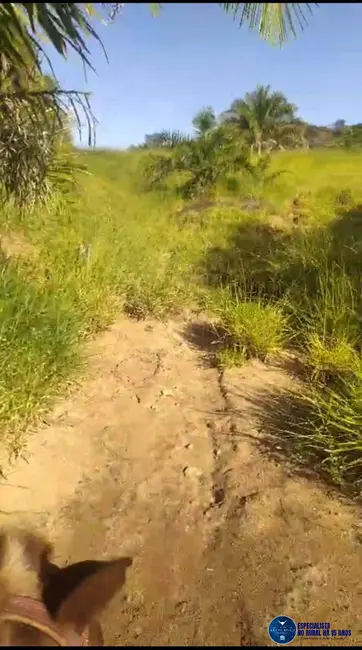 Foto 1 de Chácara com 2 quartos à venda, 14m2 em Itapuranga - GO