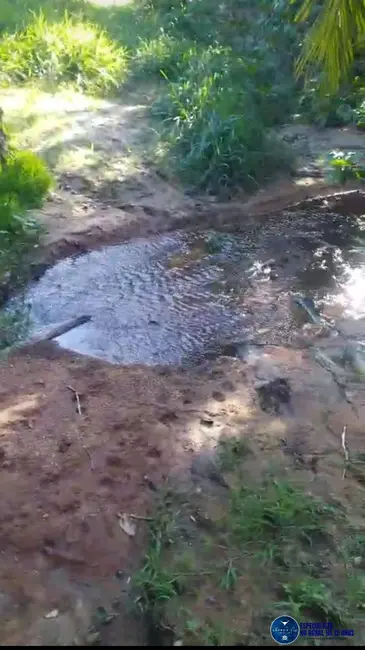 Foto 2 de Chácara com 2 quartos à venda, 14m2 em Itapuranga - GO