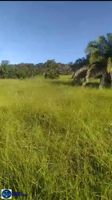 Foto 5 de Chácara com 2 quartos à venda, 14m2 em Itapuranga - GO