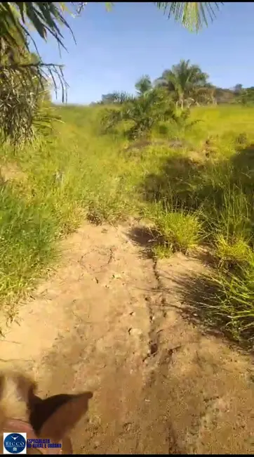 Foto 6 de Chácara com 2 quartos à venda, 14m2 em Itapuranga - GO