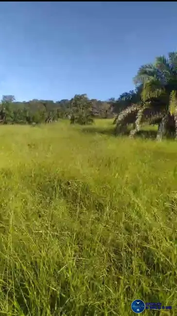 Foto 3 de Chácara com 2 quartos à venda, 14m2 em Itapuranga - GO