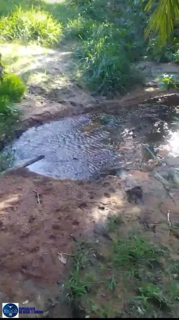 Foto 4 de Chácara com 2 quartos à venda, 14m2 em Itapuranga - GO