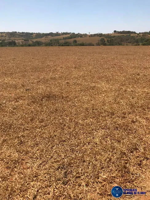 Foto 3 de Chácara à venda em Itapuranga - GO