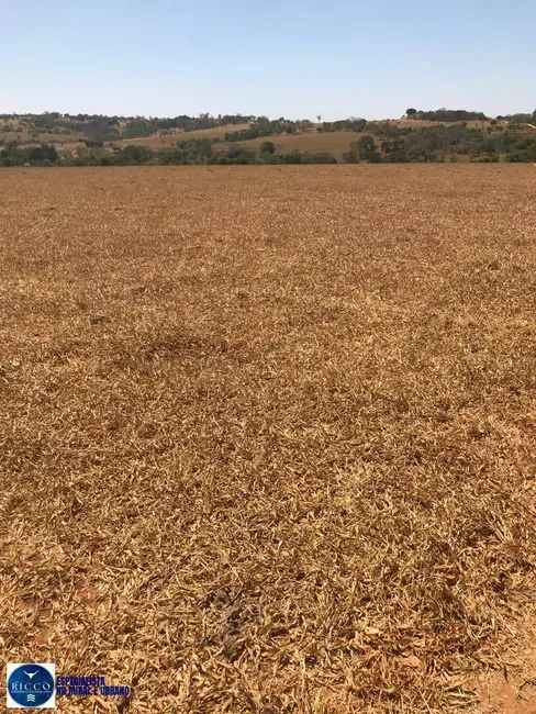 Foto 6 de Chácara à venda em Itapuranga - GO