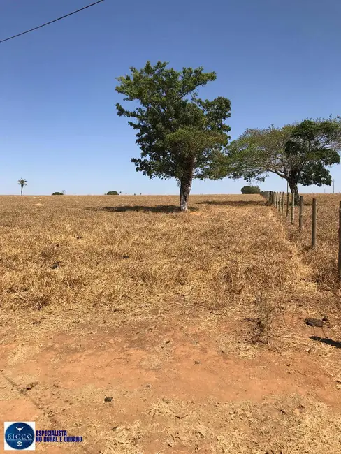 Foto 4 de Chácara à venda em Itapuranga - GO