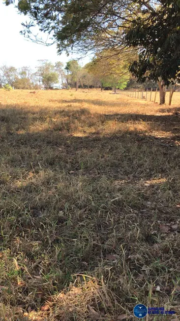 Foto 2 de Chácara com 2 quartos à venda em Itapuranga - GO