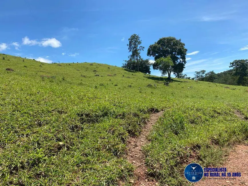 Foto 10 de Chácara à venda, 10m2 em Pontalina - GO