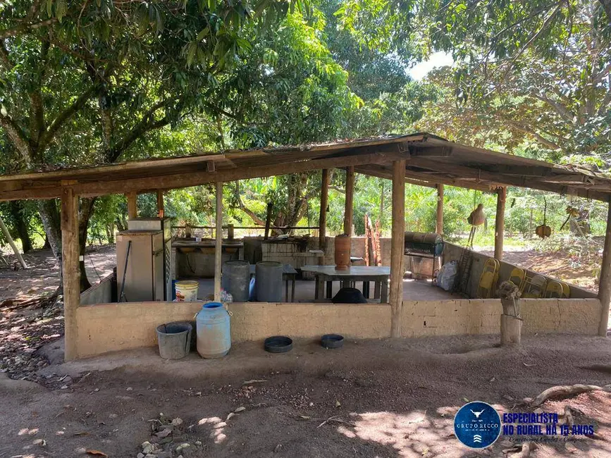 Foto 8 de Chácara à venda, 10m2 em Pontalina - GO