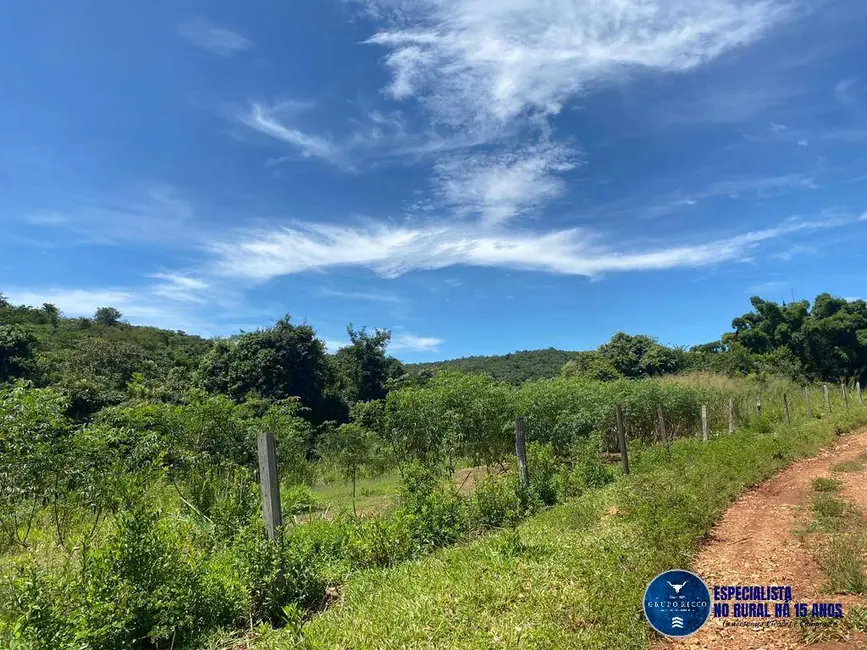 Foto 5 de Chácara à venda, 10m2 em Pontalina - GO